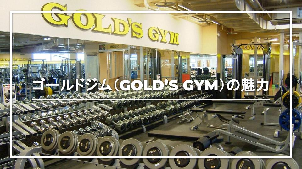 お気に入 GOLD'S GYM ゴールドジム アルティメットHMBパウダー アミノ酸 筋肉 サプリメント バルクアップ 筋肉増強 トレーニング 筋トレ 